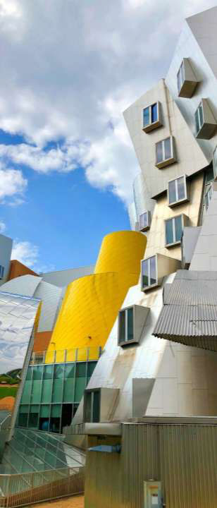 Workshop Internacional sobre Gestão Pública e Inovação - 2026